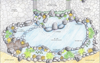 Planning a Water Feature
